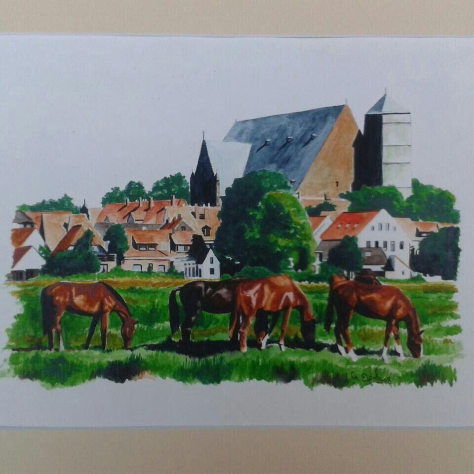 Jugendarbeit im Imkerverein Verden e.V.