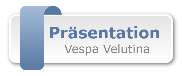 Präsentation 